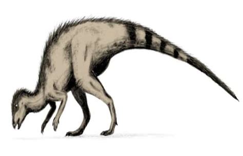 Hypsilophodon | An Early Cretaceous High-Crested Herbivore