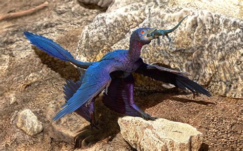 Ce Lézard Inconnu A été Avalé Tout Rond Par Un Microraptor