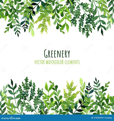 Greenery Seamless Borders Watercolor Leaves And Branches Stock Vector