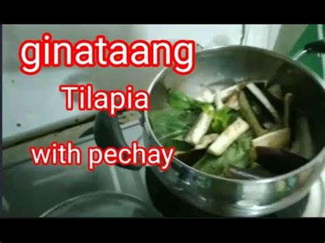 Ginataang Tilapia With Pechay How To Cook Ginataang Tilapia With