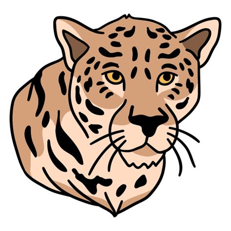 Leopards Png Png Mart