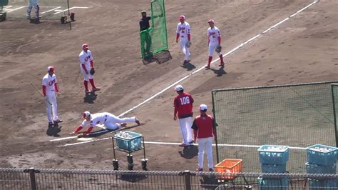 カープ内野手＝田中広輔・坂倉将吾・矢野雅哉・中神拓都・三好匠・安部友裕選手のバックホーム ～広島東洋カープ2軍・春季日南キャンプ2022