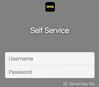 Self Help Options | College of Engineering - The University of Iowa