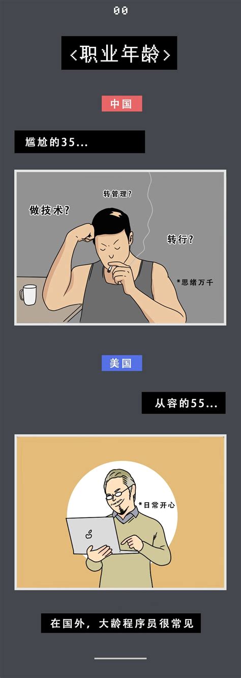 漫画 中国程序员vs美国程序员，太形象了 纯洁的微笑博客