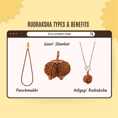 Rudraksha Types And Benefits Of Wearing Rudraksha Stillchemy