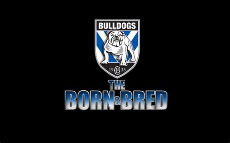 Canterbury Bankstown Bulldogs Hd Nrl Logo National Rugby League Hd