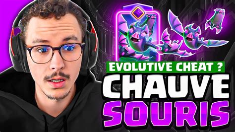 Les Chauves Souris Volutives Sont Elles Cheat Youtube