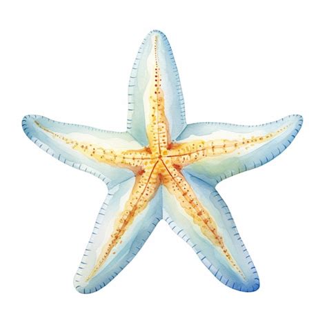 Premium Photo There Is A Starfish That Is Painted In Watercolor On A