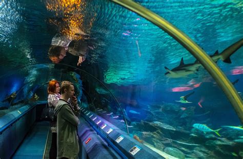 Oceanarium Afrykarium Wrocław atrakcje i ceny Dom i Wnętrze