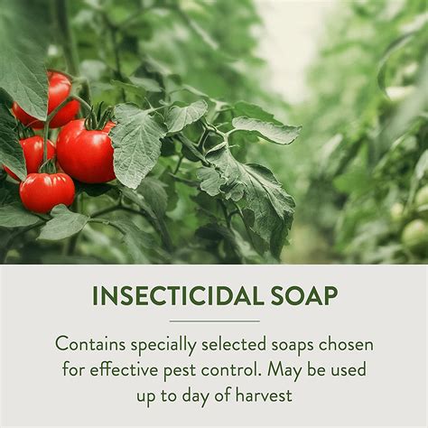 Garden Safe 32 Oz Insecticidal Soap Ready To Use