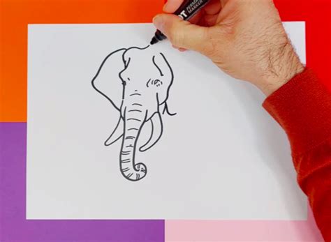 Comment Dessiner Un éléphant Tuto Dessin