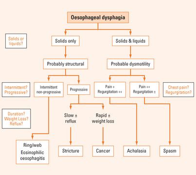 Dysphagia and odynophagia | Abdominal Key