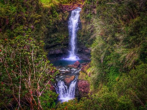 25 Best Things To Do In Hilo Hawaii 2022 Mike And Laura Travel