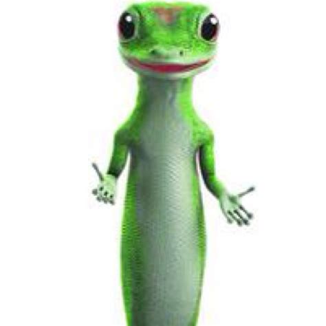 Geico Gecko (@GeckoGeico) | Twitter