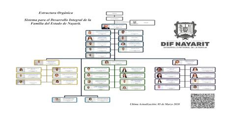 Estructura Org Nica Sistema Para El Desarrollo Estructura Org Nica
