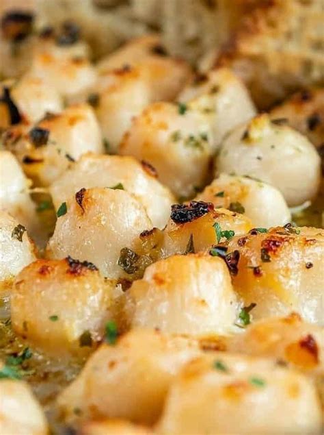 24 Bay Scallop Recipes Thatll Make Your Taste Buds Sizzle