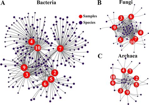 Co Occurrence Network Analysis Of Bacteria A Fungi B And Archaea