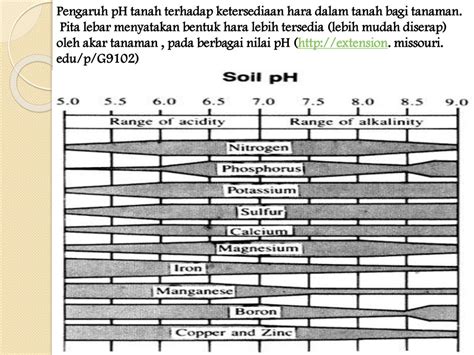 Pengaruh Ph Terhadap Ketersediaan Unsur Hara Berbagai Unsur