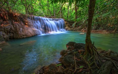 Cascade Waterfall With Exotic Tropical Vegetation Green Trees