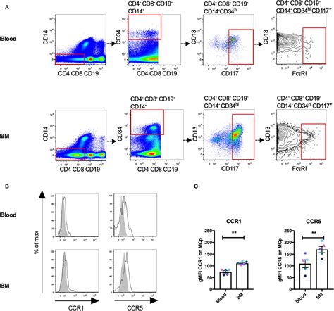 Frontiers Localization Specific Expression Of Ccr1 And Ccr5 By Mast