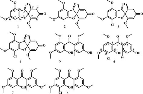 Compounds Isolated From Ethyl Acetate Extract Obtained After S