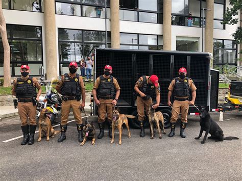 Polícia Rodoviária Estadual Recebe Cinco Cães De Faro Para Ajudar No