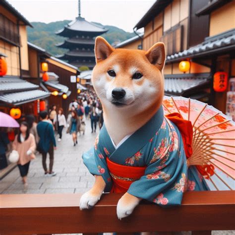 Shiba Inu Gold Sponsor At Ivs Crypto Kyoto Japans Largest Web