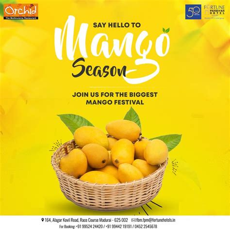 Mango Festival in 2023 | Food festival, Mango, Festival