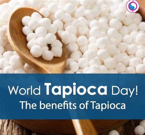 Tapioca Day The Nutritional Benefits Of Tapioca Kanexon Blog