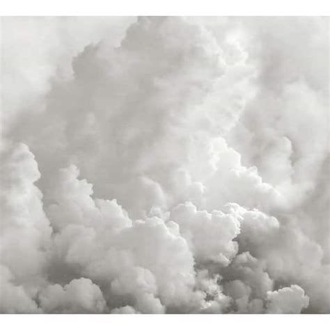 REMIX WALLS In the Clouds Dove Grey Novelty Wall Mural Sample ...