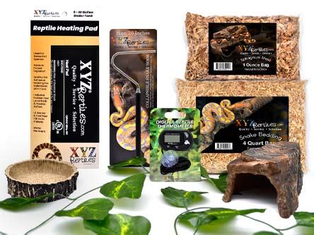 Snake Habitat For Sale Buy The Perfect Snake Starter Kit At XYZReptiles