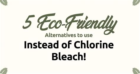 5 Eco-Friendly Alternatives To Use Instead Of Chlorine Bleach! | Blog