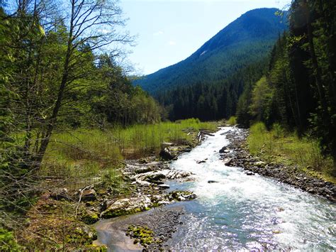 Suiattle River Trail Pacific Crest Trail Pct Section K Stevens Pass East To Rainy Pass