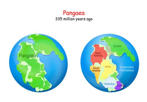 Pangea Map Illustrations, Royalty-Free Vector Graphics & Clip Art - iStock