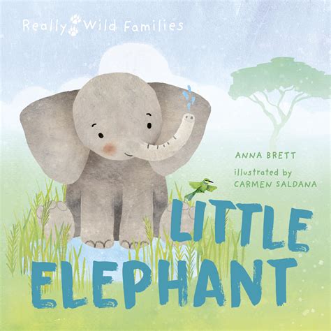 Little Elephant: A Day in the Life of a Elephant Calf (Really Wild