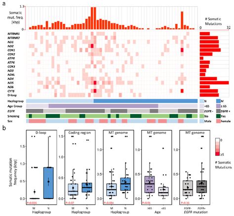 Somatic Mutations Identified In Stage I Luad Patients A Profile Of