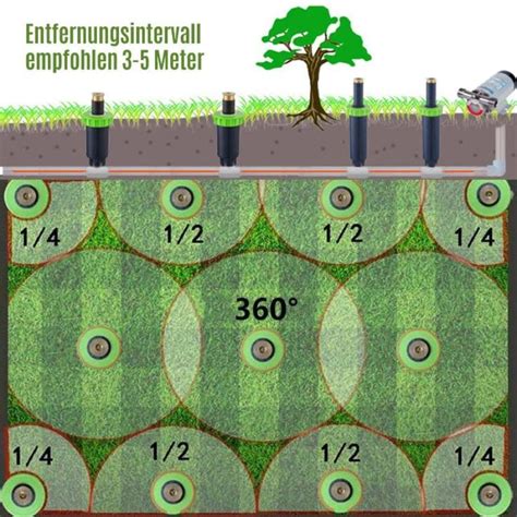 A Diagram Showing The Distance Intervals For Different Trees And Shrubs