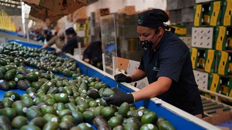 De M Xico Para El Mundo Los Productos Que M S Exporta Nuestro Pa S