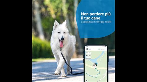 Salind 11 GPS Localizzatore Gps Per Auto Moto E Molto Altro Calamita