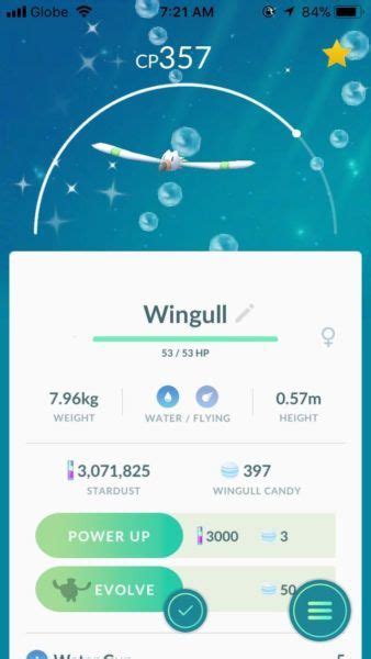 Pokemon GO Accidentally Releases Shiny Wingull Early