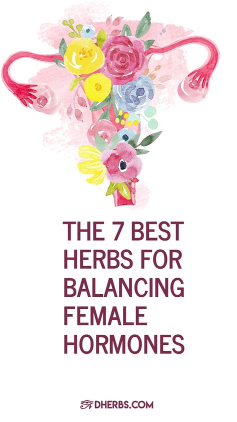 The 7 Best Herbs For Balancing Female Hormones Artofit