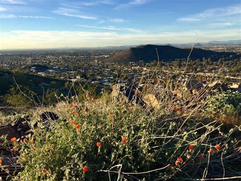 North Mountain Hike - North Mountain Park, AZ | MyHikes