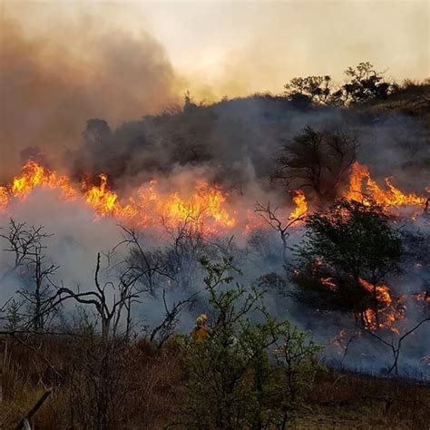 Declaran el estado de emergencia agropecuaria en Misiones Córdoba y