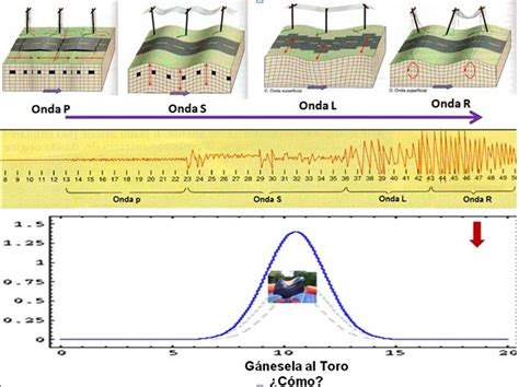 Gestión de Terremotos Como actúan las ondas sísmicas en un Terremoto