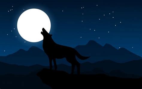 A Wolf Standing On Top Of A Hill At Night With The Moon In The Sky