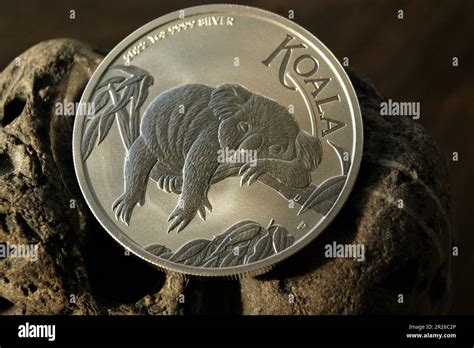 Australian 1 Dollar Koala Investment Pure Silver Coin Stock Photo Alamy