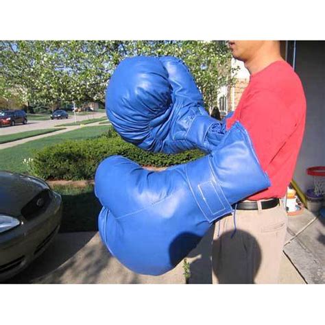 Boxing Gloves — Beyond Tent