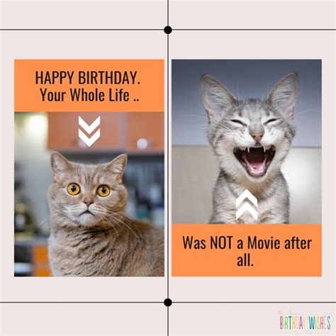 65 Happy Birthday Wishes Involving Cat Meme (with Pictures)