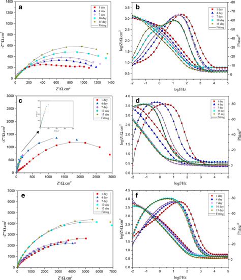 The Nyquist And Bode Phase Plots Of Carbon X60 Steel In 15 Days Of