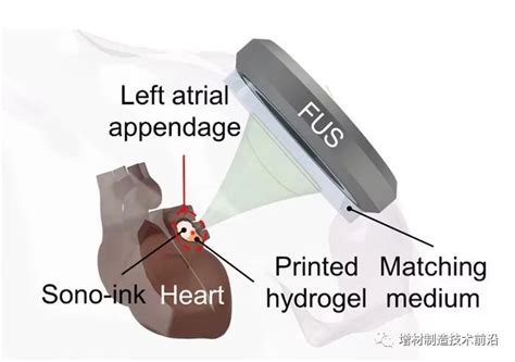 3d打印，最新、重磅science！